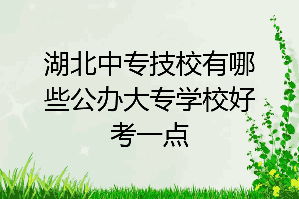 湖北中专技校有哪些公办大专学校好考一点