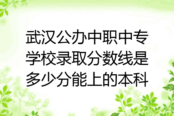 武汉公办中职中专学校录取分数线是多少分能上的本科