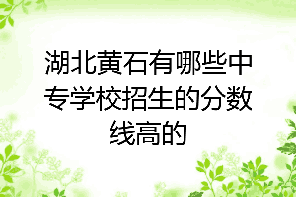 湖北黄石有哪些中专学校招生的分数线高的