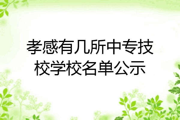 孝感有几所中专技校学校名单公示
