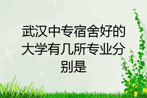 武汉中专宿舍好的大学有几所专业分别是