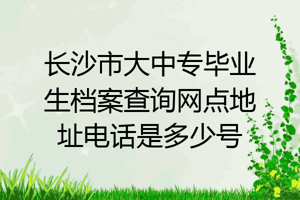 长沙市大中专毕业生档案查询网点地址电话是多少号