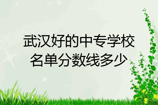 武汉好的中专学校名单分数线多少