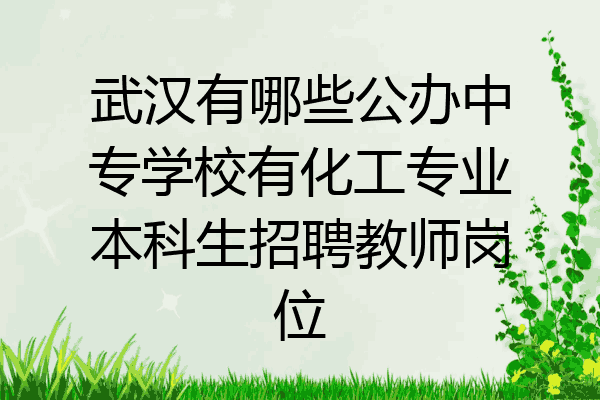 武汉有哪些公办中专学校有化工专业本科生招聘教师岗位