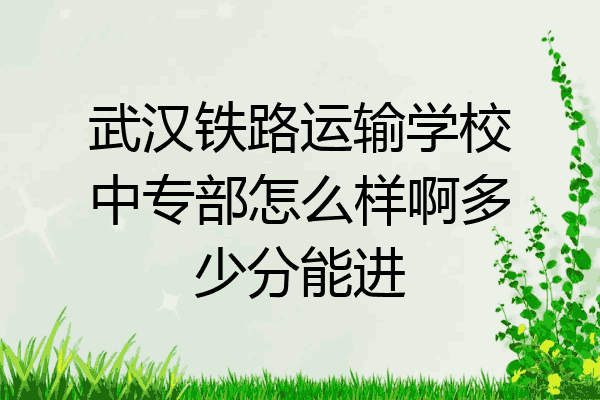 武汉铁路运输学校中专部怎么样啊多少分能进