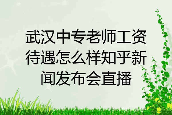 武汉中专老师工资待遇怎么样知乎新闻发布会直播