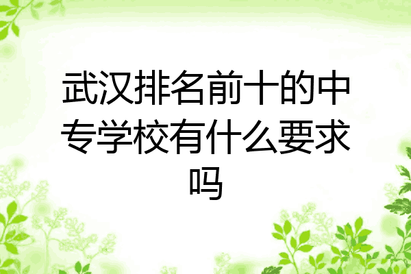 武汉排名前十的中专学校有什么要求吗
