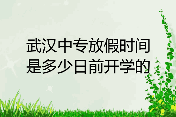 武汉中专放假时间是多少日前开学的