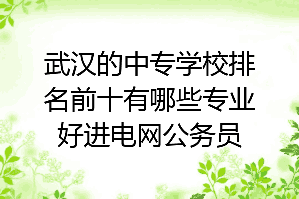 武汉的中专学校排名前十有哪些专业好进电网公务员