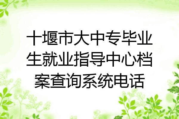 十堰市大中专毕业生就业指导中心档案查询系统电话