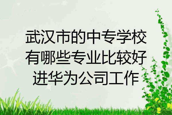 武汉市的中专学校有哪些专业比较好进华为公司工作