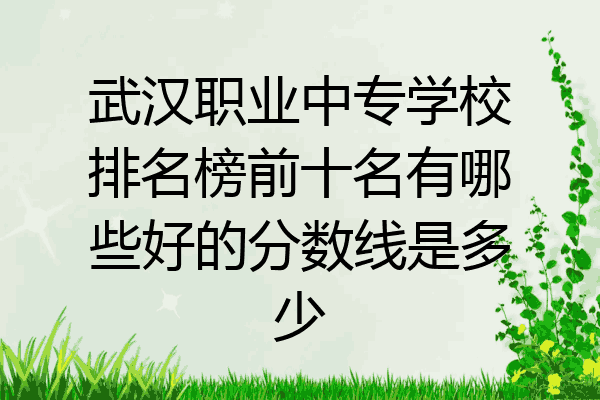 武汉职业中专学校排名榜前十名有哪些好的分数线是多少