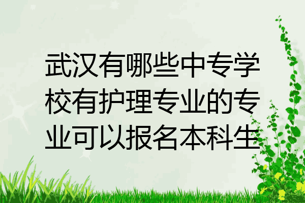 武汉有哪些中专学校有护理专业的专业可以报名本科生