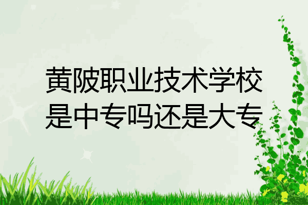 黄陂职业技术学校是中专吗还是大专