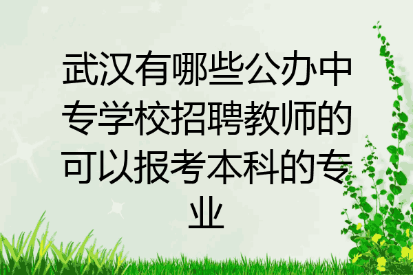 武汉有哪些公办中专学校招聘教师的可以报考本科的专业