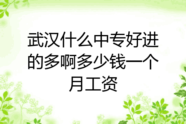 武汉什么中专好进的多啊多少钱一个月工资