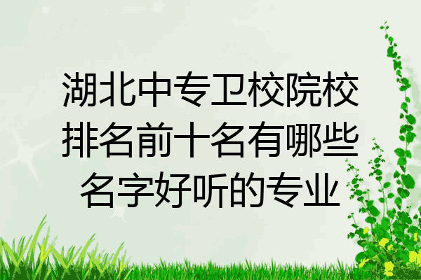 湖北中专卫校院校排名前十名有哪些名字好听的专业