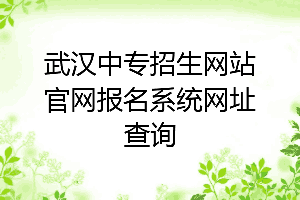 武汉中专招生网站官网报名系统网址查询