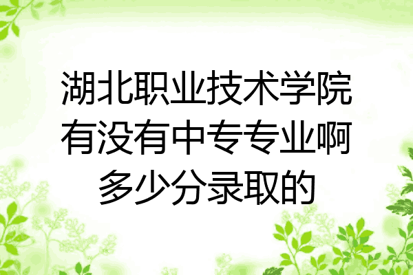 湖北职业技术学院有没有中专专业啊多少分录取的