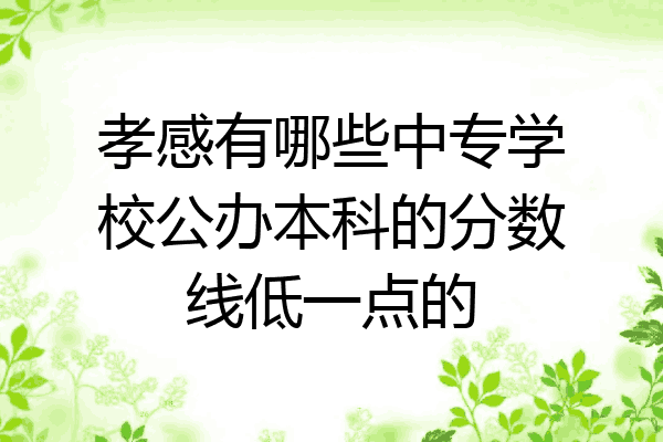 孝感有哪些中专学校公办本科的分数线低一点的