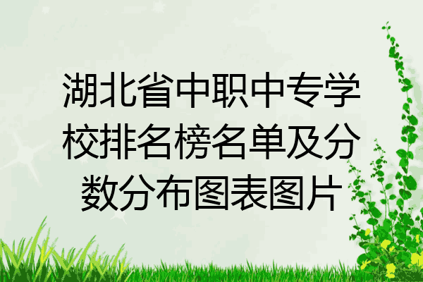 湖北省中职中专学校排名榜名单及分数分布图表图片
