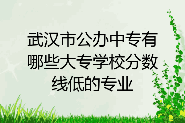 武汉市公办中专有哪些大专学校分数线低的专业