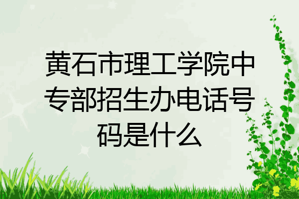 黄石市理工学院中专部招生办电话号码是什么