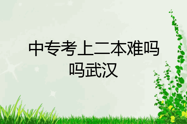 中专考上二本难吗吗武汉