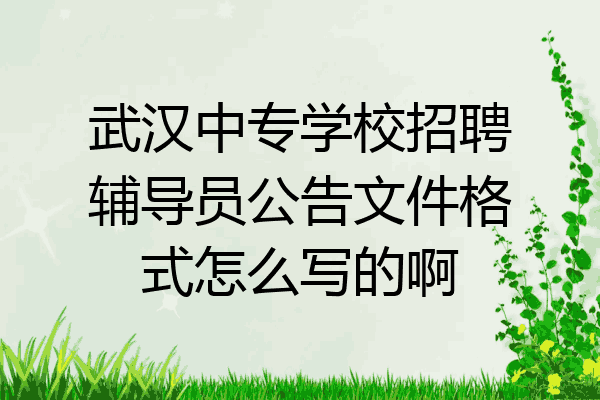 武汉中专学校招聘辅导员公告文件格式怎么写的啊