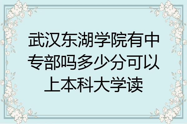 武汉东湖学院有中专部吗多少分可以上本科大学读
