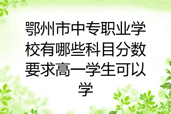 鄂州市中专职业学校有哪些科目分数要求高一学生可以学