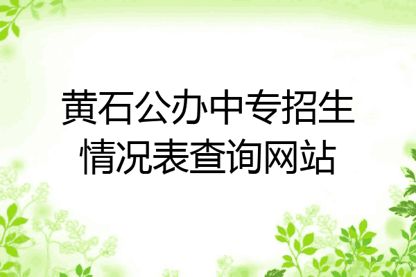 黄石公办中专招生情况表查询网站