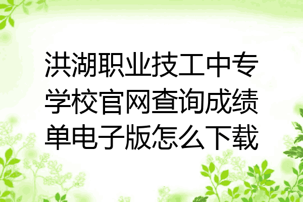 洪湖职业技工中专学校官网查询成绩单电子版怎么下载