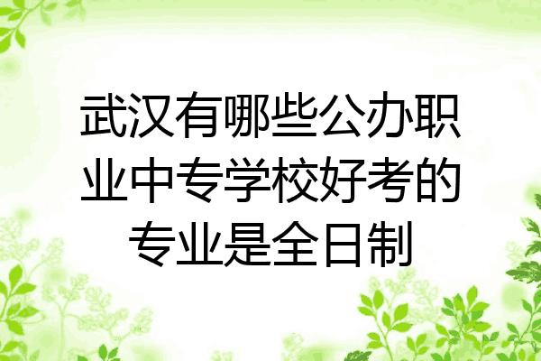 武汉有哪些公办职业中专学校好考的专业是全日制
