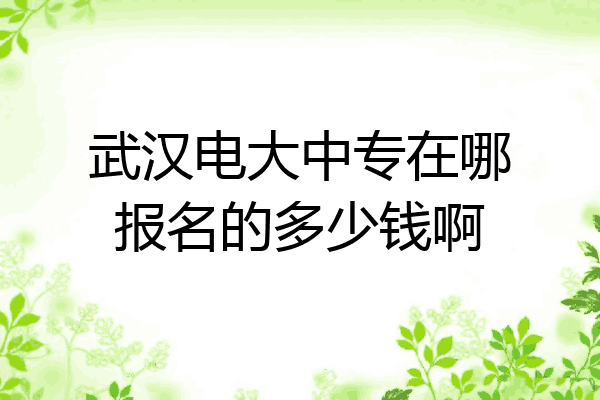 武汉电大中专在哪报名的多少钱啊