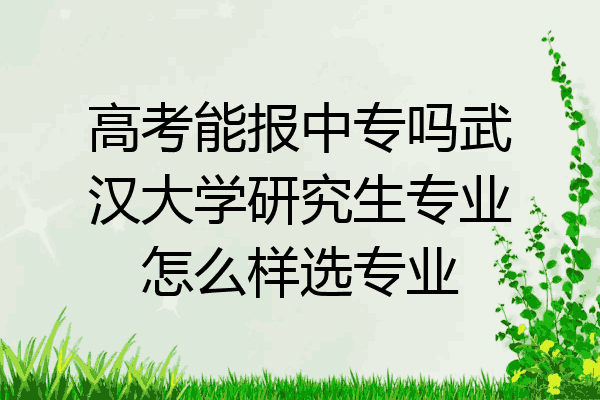 高考能报中专吗武汉大学研究生专业怎么样选专业