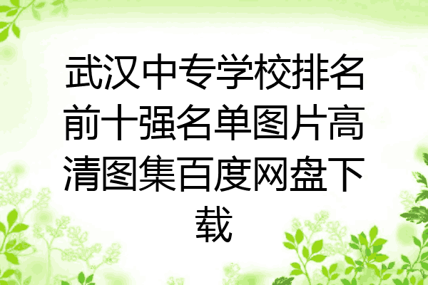 武汉中专学校排名前十强名单图片高清图集百度网盘下载