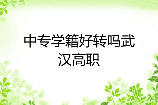中专学籍好转吗武汉高职