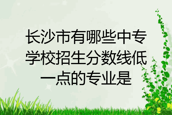 长沙市有哪些中专学校招生分数线低一点的专业是