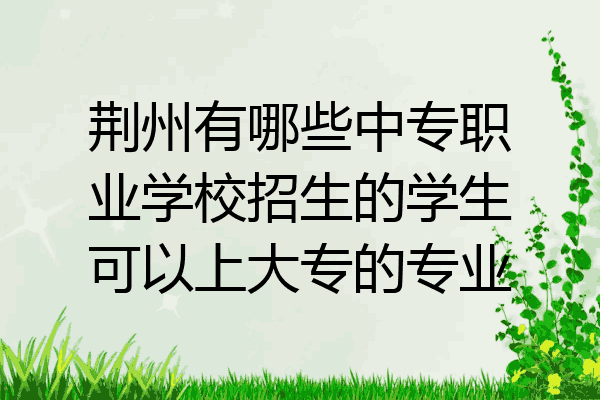 荆州有哪些中专职业学校招生的学生可以上大专的专业