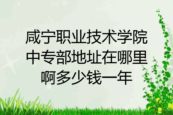 咸宁职业技术学院中专部地址在哪里啊多少钱一年