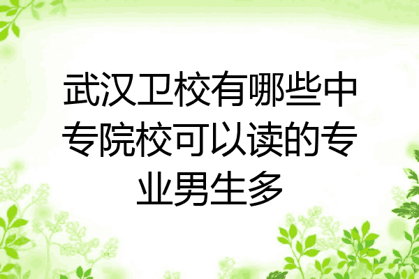 武汉卫校有哪些中专院校可以读的专业男生多