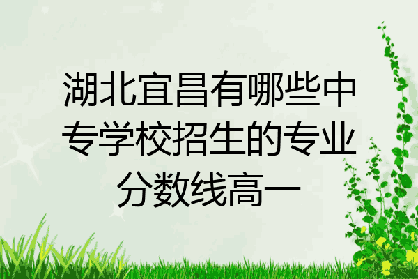 湖北宜昌有哪些中专学校招生的专业分数线高一