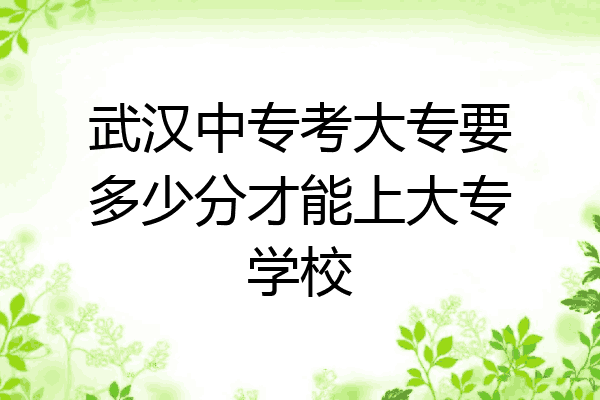 武汉中专考大专要多少分才能上大专学校