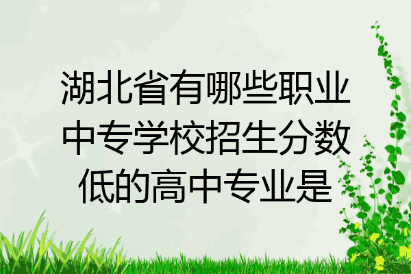 湖北省有哪些职业中专学校招生分数低的高中专业是