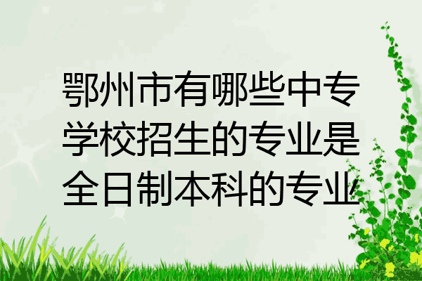 鄂州市有哪些中专学校招生的专业是全日制本科的专业