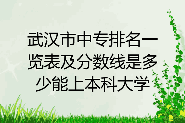 武汉市中专排名一览表及分数线是多少能上本科大学