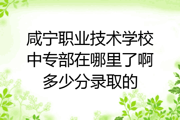 咸宁职业技术学校中专部在哪里了啊多少分录取的