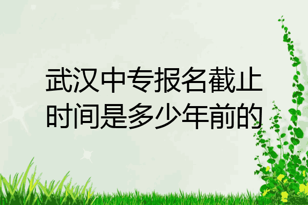 武汉中专报名截止时间是多少年前的