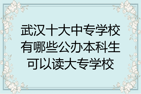 武汉十大中专学校有哪些公办本科生可以读大专学校